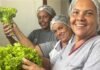 São Gonçalo supera exigência federal e investe 100% dos recursos do PNAE na agricultura familiar